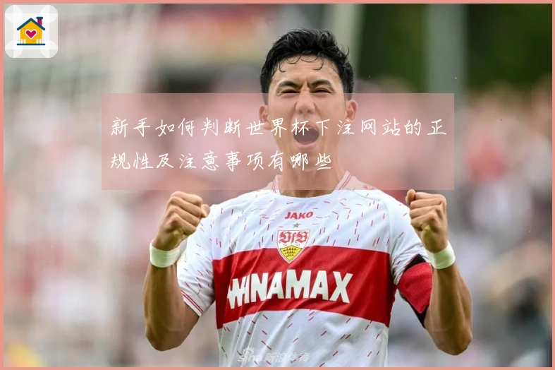 新手如何判断世界杯下注网站的正规性及注意事项有哪些