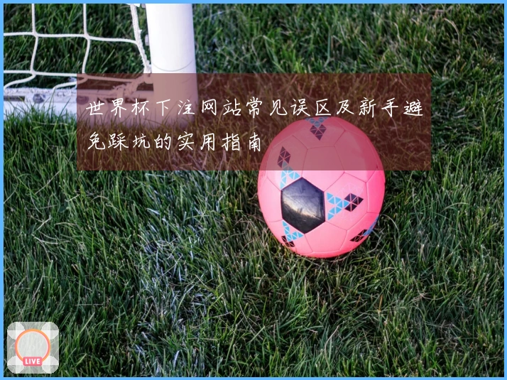 世界杯下注网站常见误区及新手避免踩坑的实用指南
