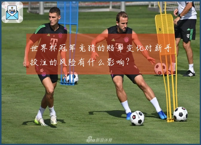 世界杯冠军竞猜的赔率变化对新手投注的风险有什么影响？