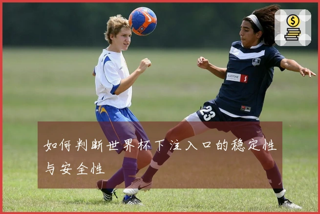如何判断世界杯下注入口的稳定性与安全性