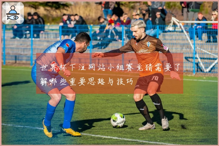 世界杯下注网站小组赛竞猜需要了解哪些重要思路与技巧