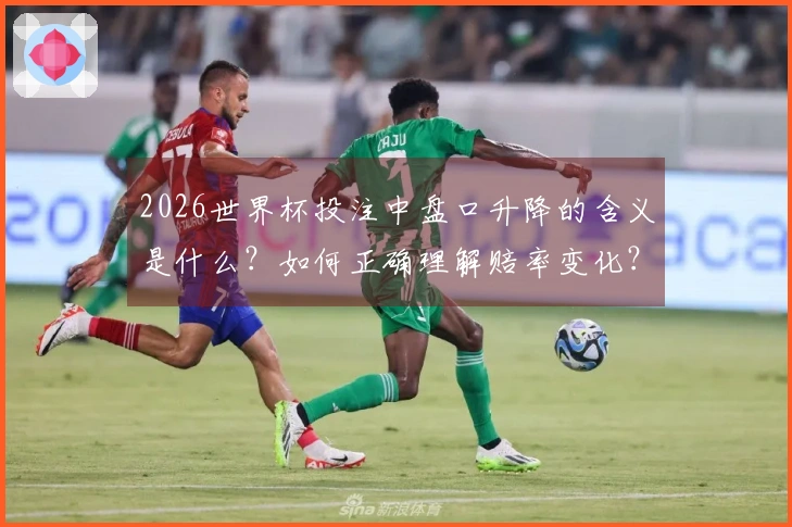 2026世界杯投注中盘口升降的含义是什么？如何正确理解赔率变化？