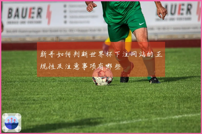 新手如何判断世界杯下注网站的正规性及注意事项有哪些