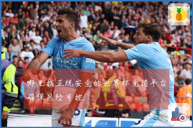 哪里找正规安全的世界杯竞猜平台确保风险可控