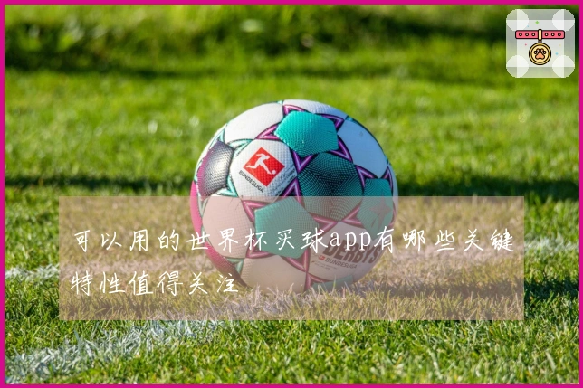 可以用的世界杯买球app有哪些关键特性值得关注