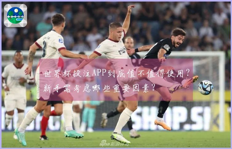世界杯投注APP到底值不值得使用？新手需考虑哪些重要因素？