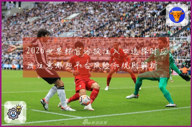 2026世界杯官方投注入口选择时应该注意哪些平台风险和规则解析