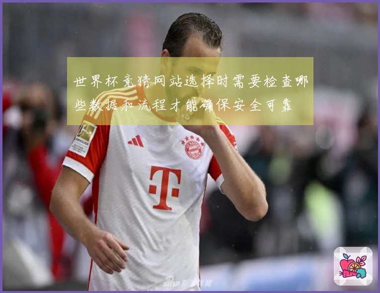 世界杯竞猜网站选择时需要检查哪些数据和流程才能确保安全可靠
