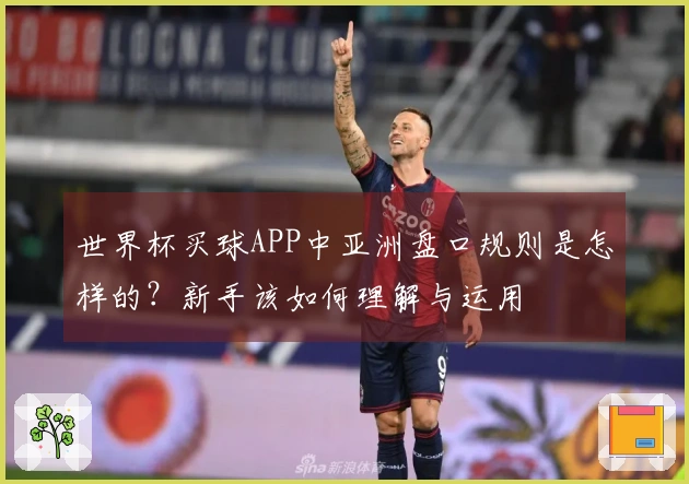 世界杯买球APP中亚洲盘口规则是怎样的？新手该如何理解与运用