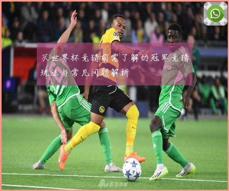 买世界杯竞猜前需了解的冠军竞猜玩法与常见问题解析
