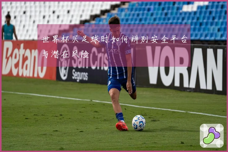 世界杯买足球时如何辨别安全平台与潜在风险