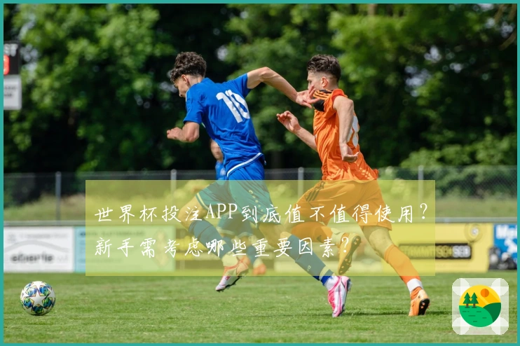 世界杯投注APP到底值不值得使用？新手需考虑哪些重要因素？