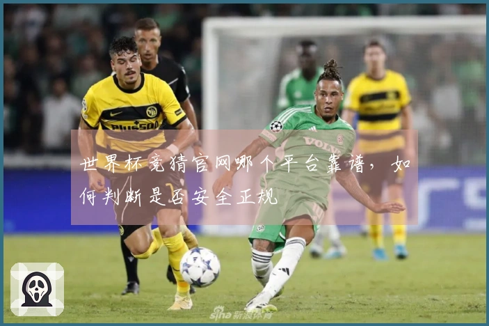 世界杯竞猜官网哪个平台靠谱，如何判断是否安全正规