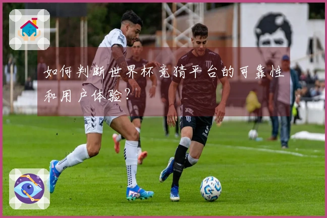 如何判断世界杯竞猜平台的可靠性和用户体验？