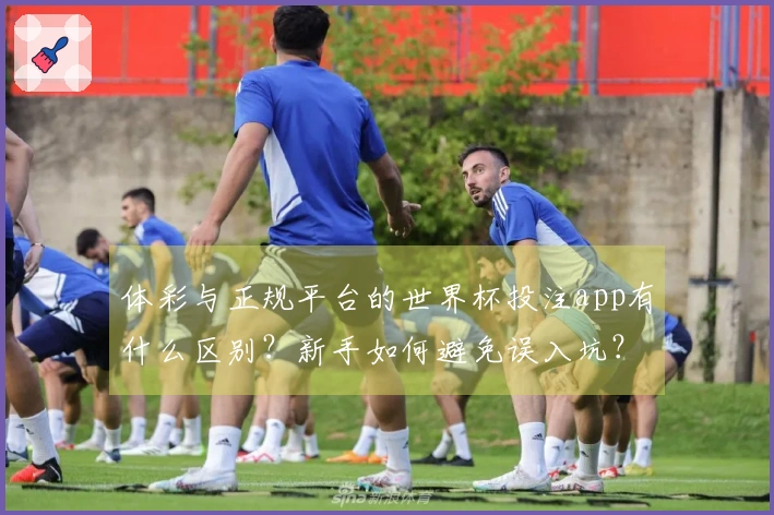 体彩与正规平台的世界杯投注app有什么区别？新手如何避免误入坑？