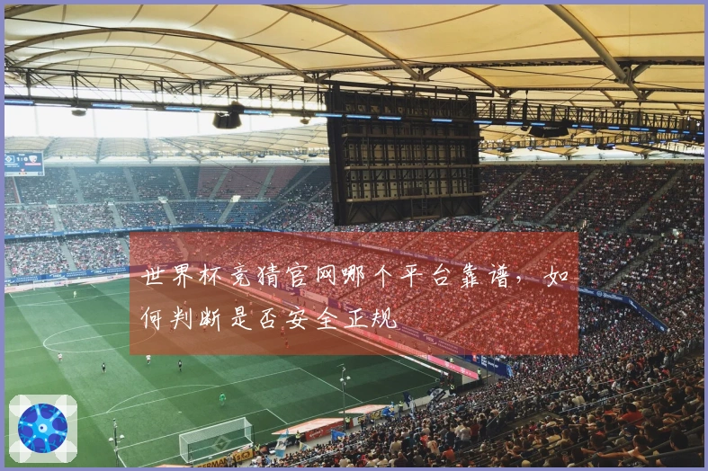 世界杯竞猜官网哪个平台靠谱，如何判断是否安全正规