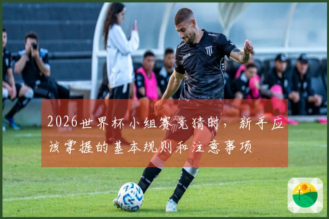 2026世界杯小组赛竞猜时，新手应该掌握的基本规则和注意事项