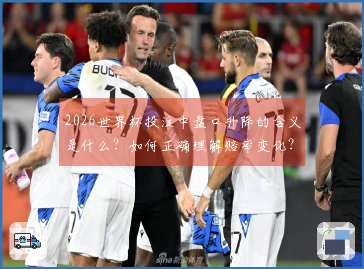 2026世界杯投注中盘口升降的含义是什么？如何正确理解赔率变化？