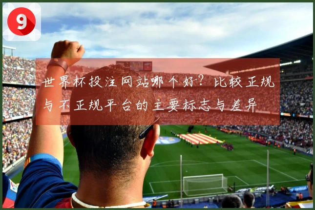 世界杯投注网站哪个好？比较正规与不正规平台的主要标志与差异