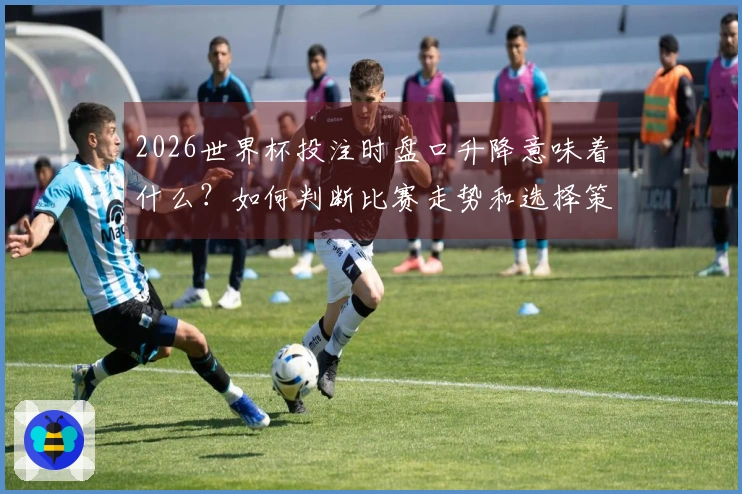 2026世界杯投注时盘口升降意味着什么？如何判断比赛走势和选择策略