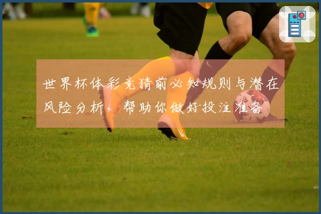 世界杯体彩竞猜前必知规则与潜在风险分析，帮助你做好投注准备
