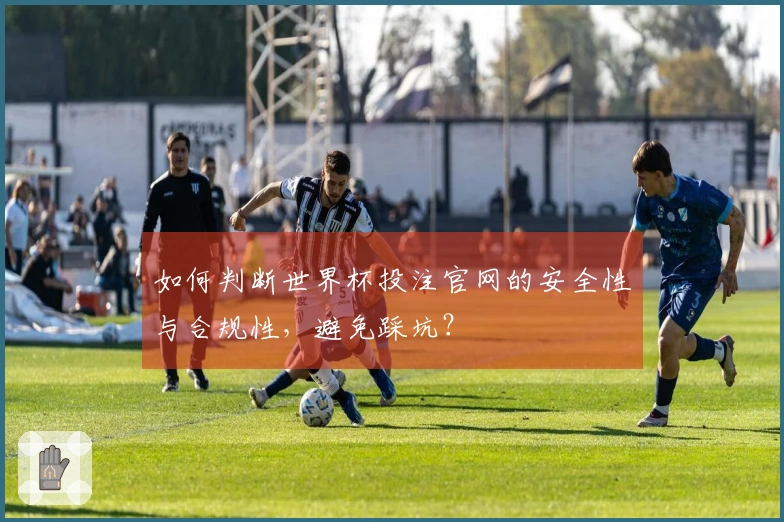 如何判断世界杯投注官网的安全性与合规性，避免踩坑？