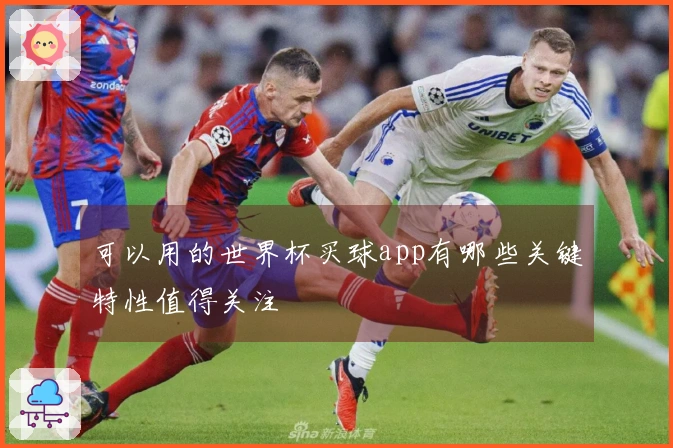 可以用的世界杯买球app有哪些关键特性值得关注