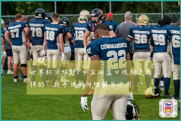 世界杯买球APP中亚洲盘口规则是怎样的？新手该如何理解与运用