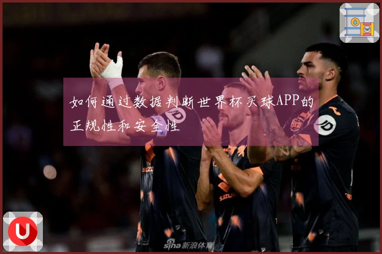 如何通过数据判断世界杯买球APP的正规性和安全性