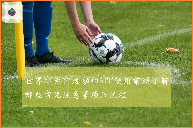 世界杯竞猜活动的APP使用前须了解哪些常见注意事项和流程