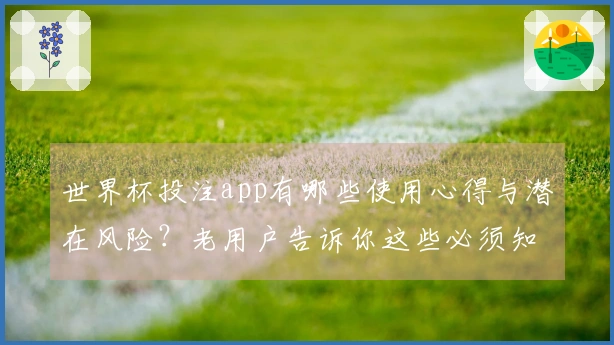 世界杯投注app有哪些使用心得与潜在风险？老用户告诉你这些必须知道的经验