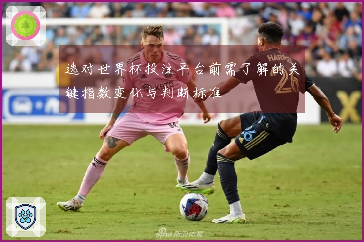 选对世界杯投注平台前需了解的关键指数变化与判断标准